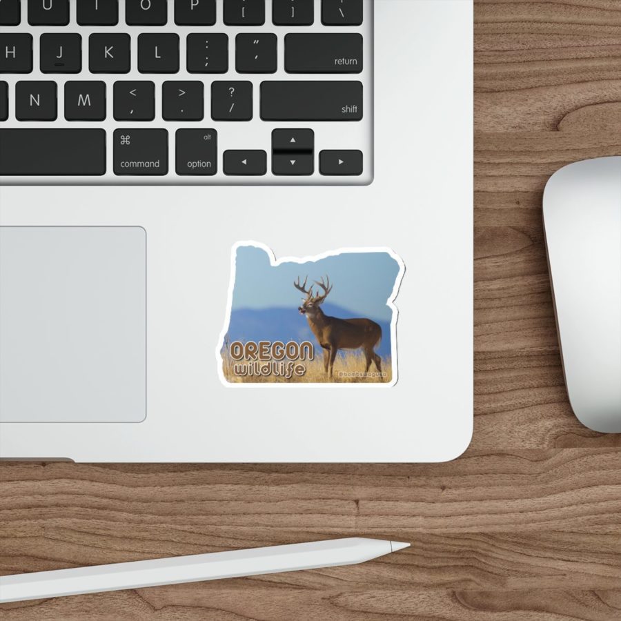 Oregon State Wildlife Deer Die Cut Sticker - Image 6