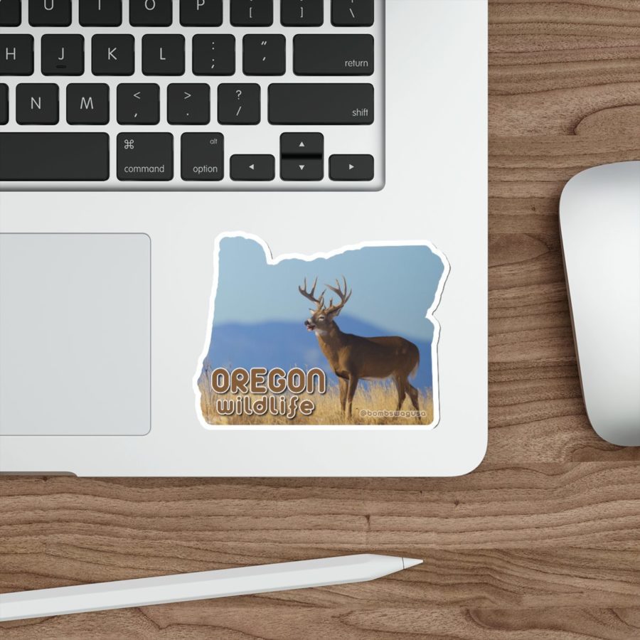 Oregon State Wildlife Deer Die Cut Sticker - Image 10