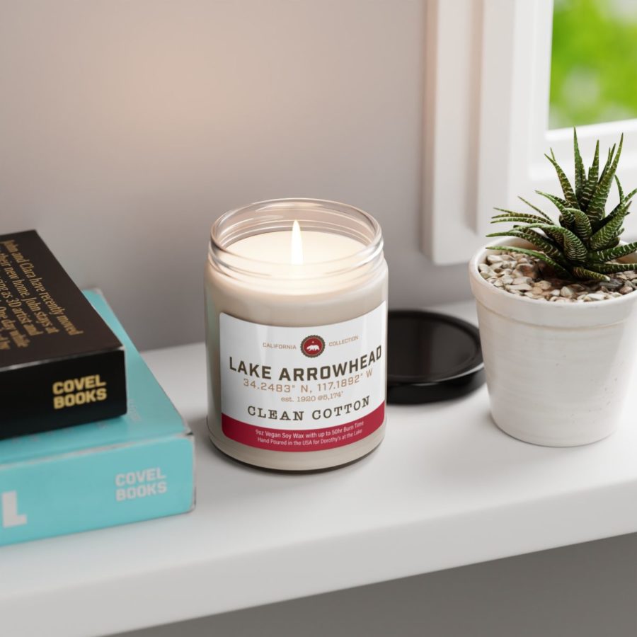 FAQ About Soy Wax – Bridge Nine Candle Co.