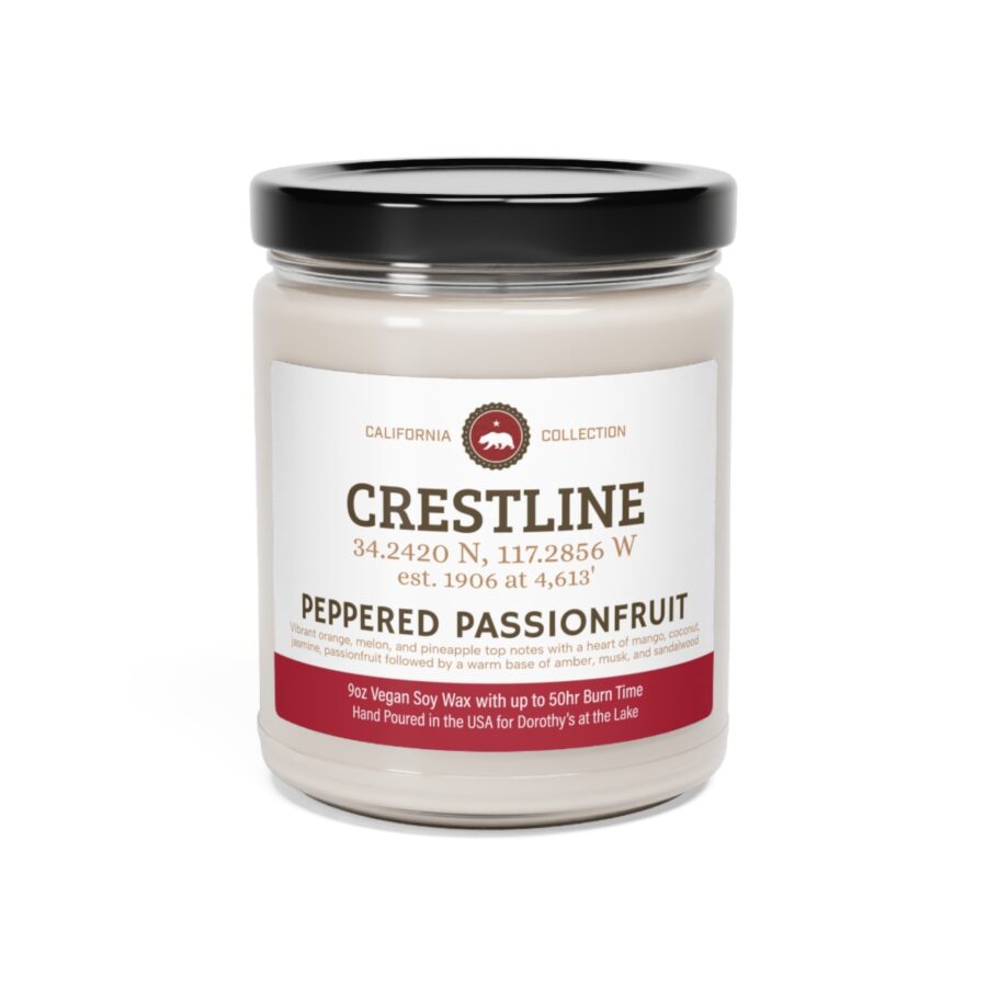 crestline, ca 9 oz soy candle from our california collection