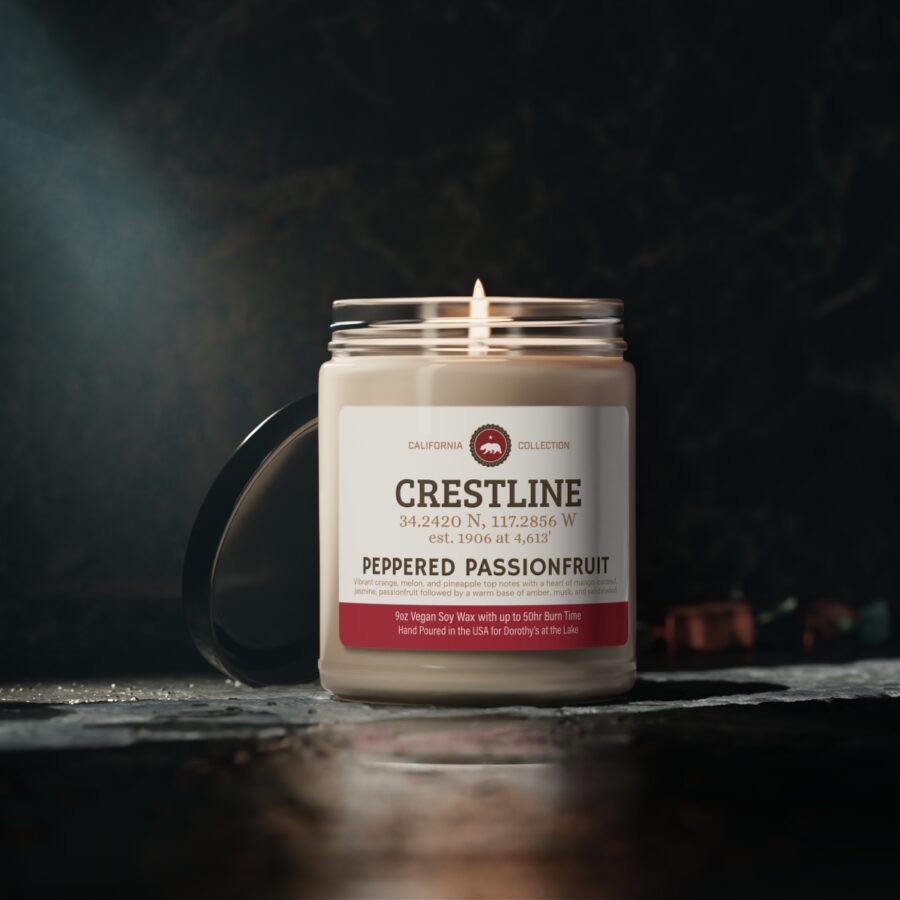 crestline, ca 9 oz soy candle from our california collection