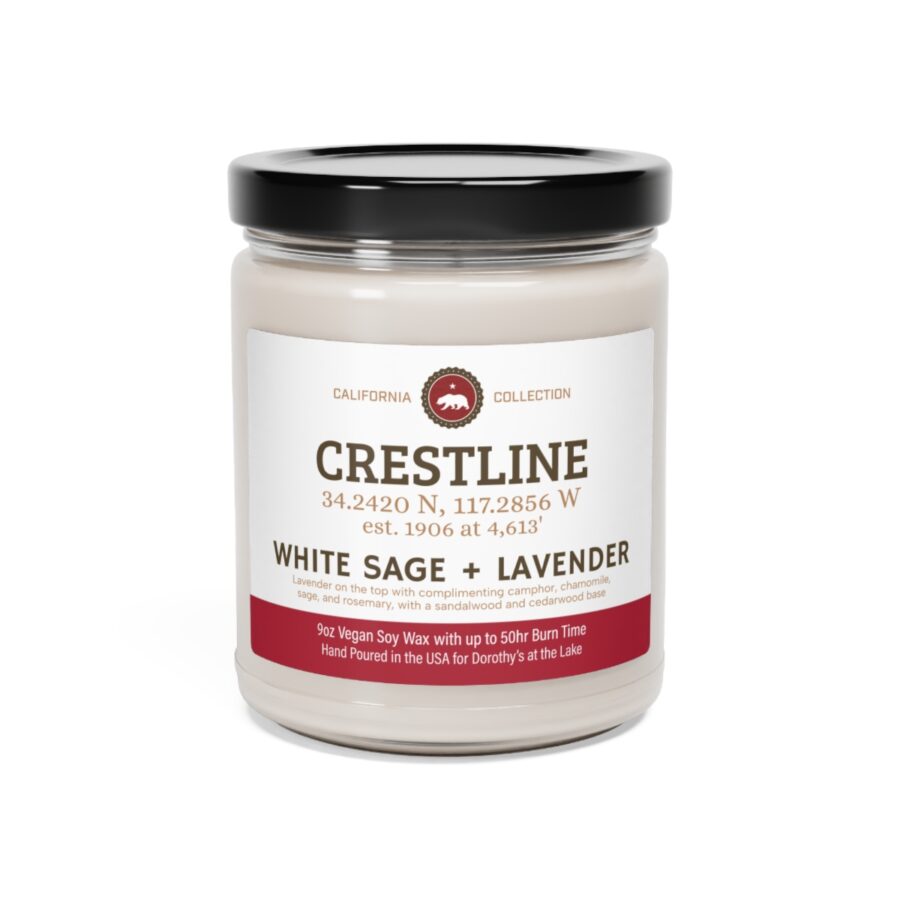 crestline, ca 9 oz soy candle from our california collection